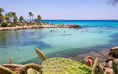 Wycieczka z Pafos w kierunku Ayia Napa Marathon z Lefkarą, odrobiną wina i oliwy